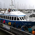 Croisière sur l’Estuaire